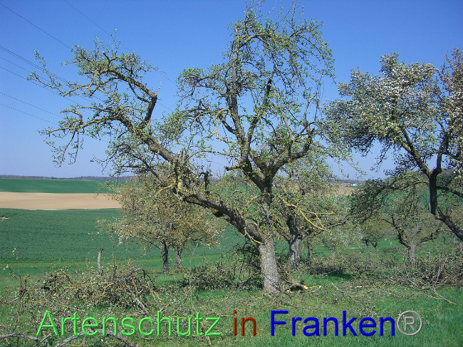 Bild zum Eintrag (1006830-160)