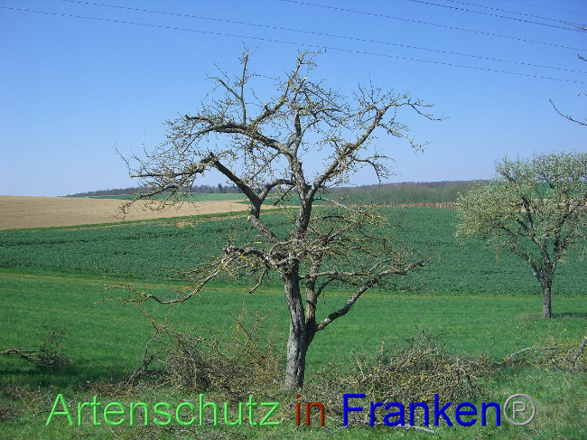 Bild zum Eintrag (1006831-160)