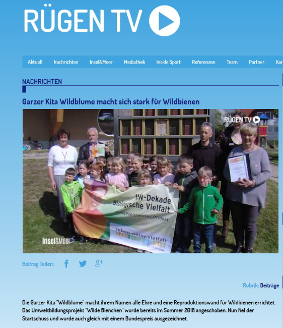 © Filmbeitrag: meckpomm.tv GmbH & Co. KG und Rügen TV Bild zum Eintrag (1006862-160)