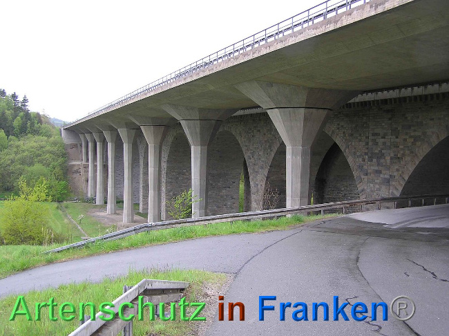 © Artenschutz in Franken® Bild zum Eintrag (1006867-160)