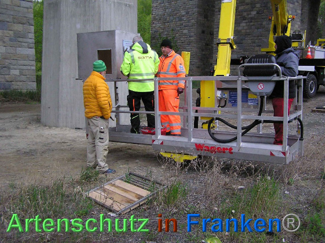 © Artenschutz in Franken® Bild zum Eintrag (1006868-160)