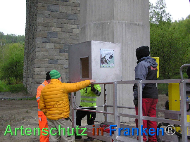 © Artenschutz in Franken® Bild zum Eintrag (1006887-160)