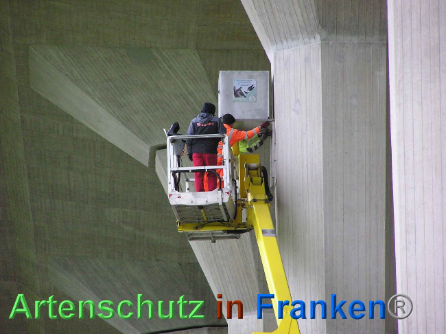 © Artenschutz in Franken® Bild zum Eintrag (1006889-160)