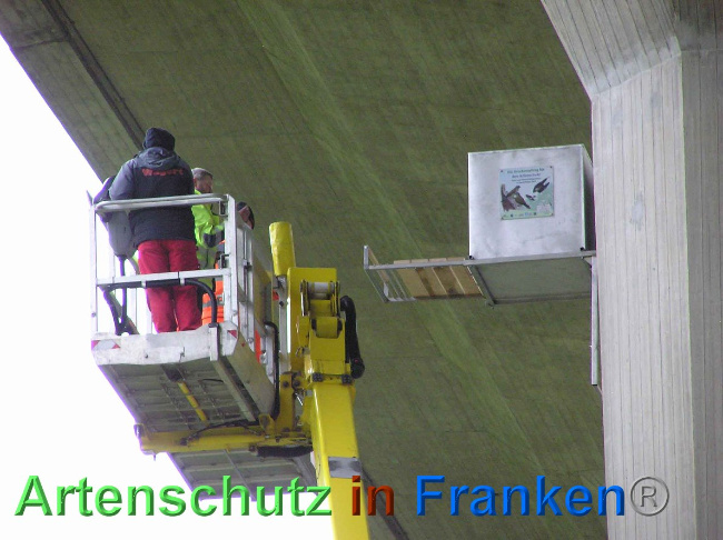 © Artenschutz in Franken® Bild zum Eintrag (1006891-160)
