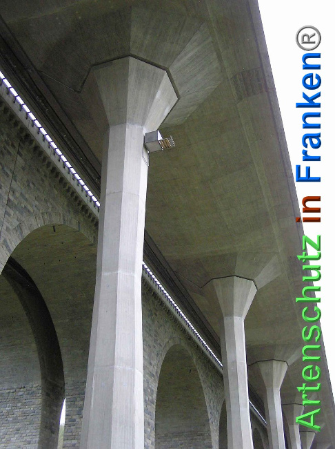 © Artenschutz in Franken® Bild zum Eintrag (1006900-160)