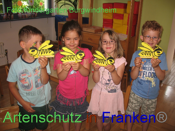 Copyright AiF Kindergarten Burgwindheim Bild zum Eintrag (100718-160)