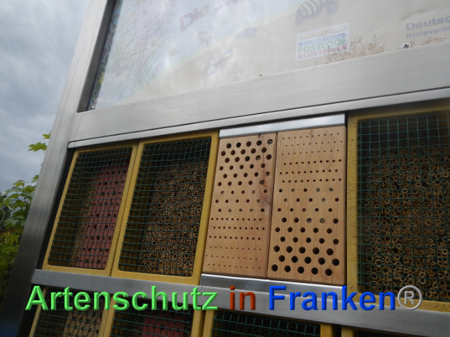 © Artenschutz in Franken® Bild zum Eintrag (1007234-160)