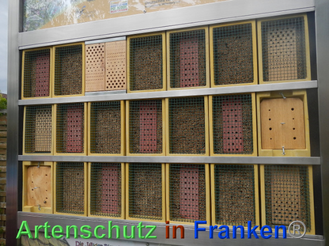 © Artenschutz in Franken® Bild zum Eintrag (1007235-160)