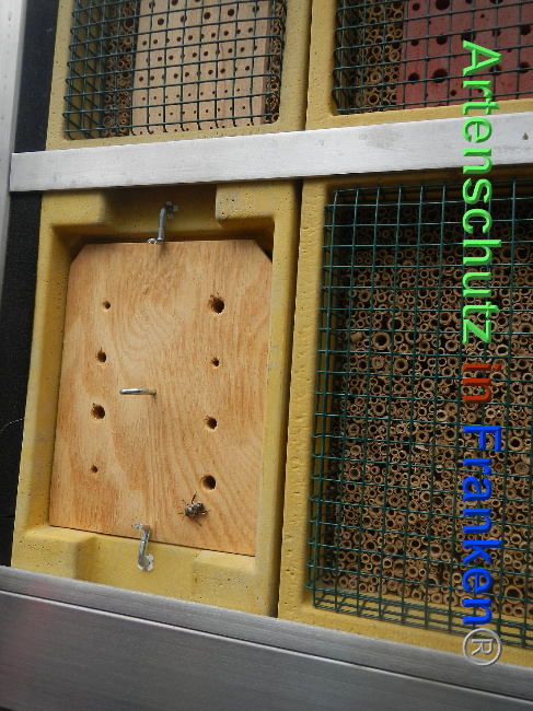 © Artenschutz in Franken® Bild zum Eintrag (1007236-160)