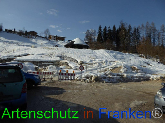 © Artenschutz in Franken® Bild zum Eintrag (1007262-160)