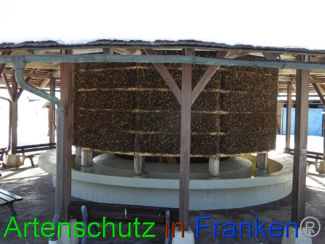 © Artenschutz in Franken® Bild zum Eintrag (1007270-160)