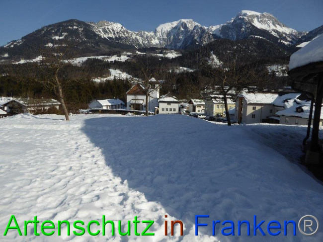 © Artenschutz in Franken® Bild zum Eintrag (1007277-160)