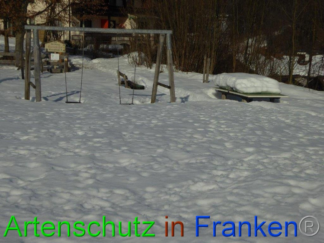 © Artenschutz in Franken® Bild zum Eintrag (1007278-160)