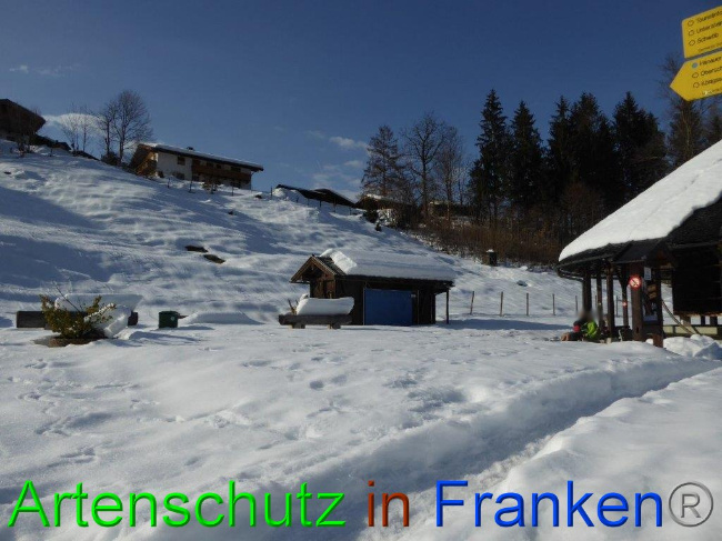 © Artenschutz in Franken® Bild zum Eintrag (1007282-160)