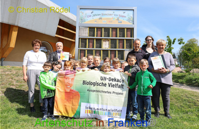© Artenschutz in Franken® - Christian Rödel Bild zum Eintrag (1007341-160)