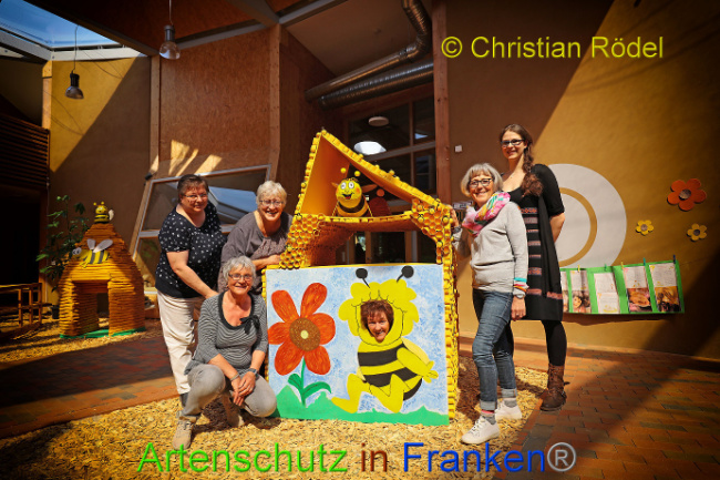 © Artenschutz in Franken® - Christian Rödel Bild zum Eintrag (1007342-160)