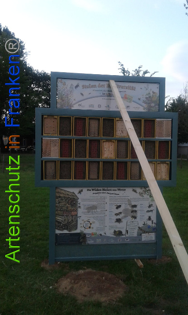 © Artenschutz in Franken® Bild zum Eintrag (1007379-160)