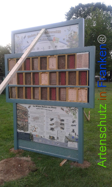 © Artenschutz in Franken® Bild zum Eintrag (1007380-160)