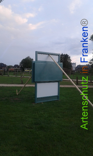 © Artenschutz in Franken® Bild zum Eintrag (1007381-160)