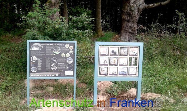 Bild zum Eintrag (1007386-160)