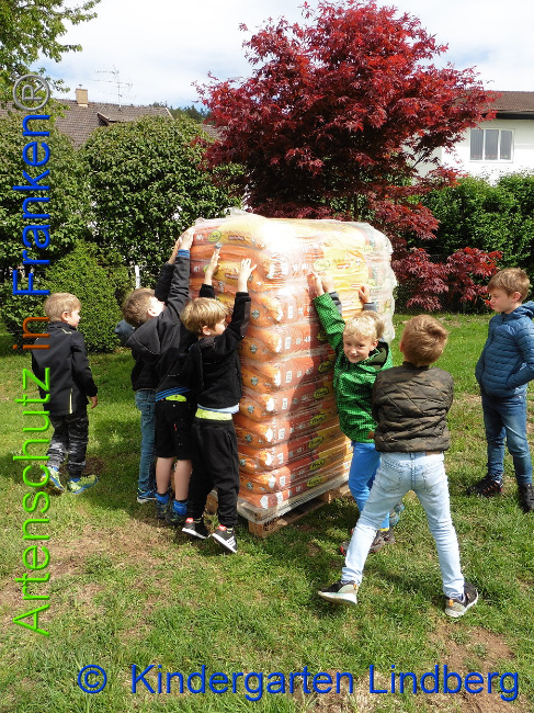 © Artenschutz in Franken® Bild zum Eintrag (1007405-160)