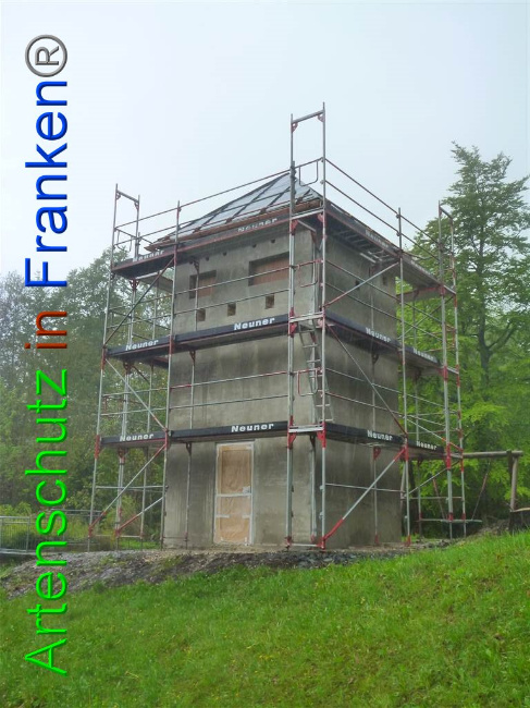 © Artenschutz in Franken® Bild zum Eintrag (1007428-160)