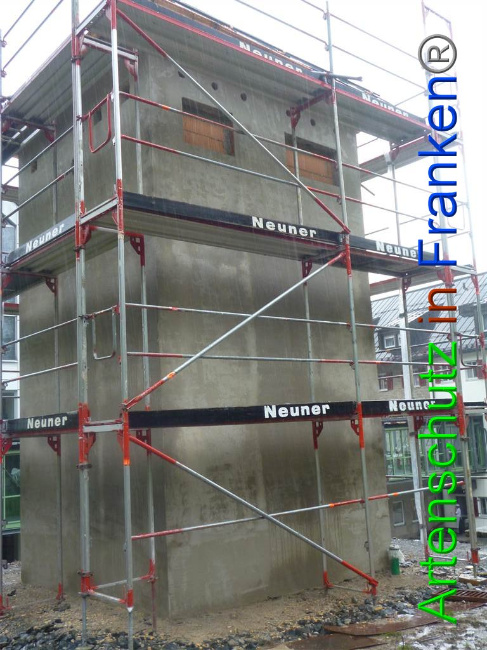 © Artenschutz in Franken® Bild zum Eintrag (1007430-160)