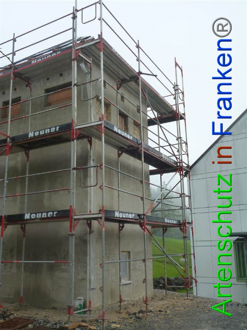© Artenschutz in Franken® Bild zum Eintrag (1007431-160)