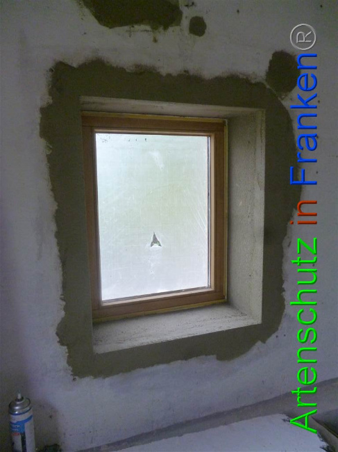 © Artenschutz in Franken® Bild zum Eintrag (1007434-160)