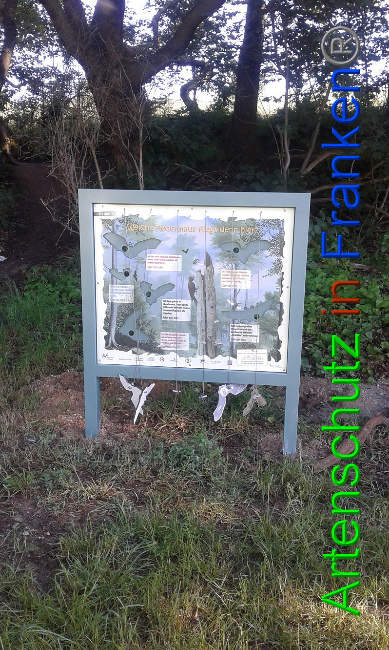 © Artenschutz in Franken® Bild zum Eintrag (1007452-160)
