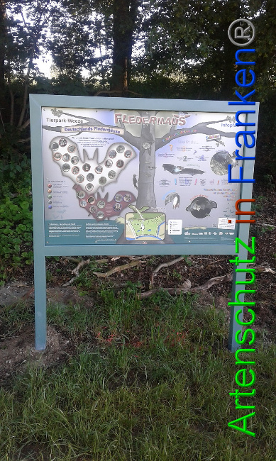 © Artenschutz in Franken® Bild zum Eintrag (1007453-160)