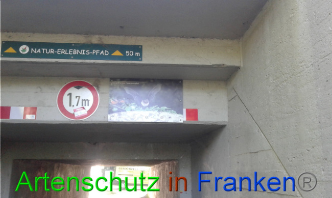 Bild zum Eintrag (1007456-160)