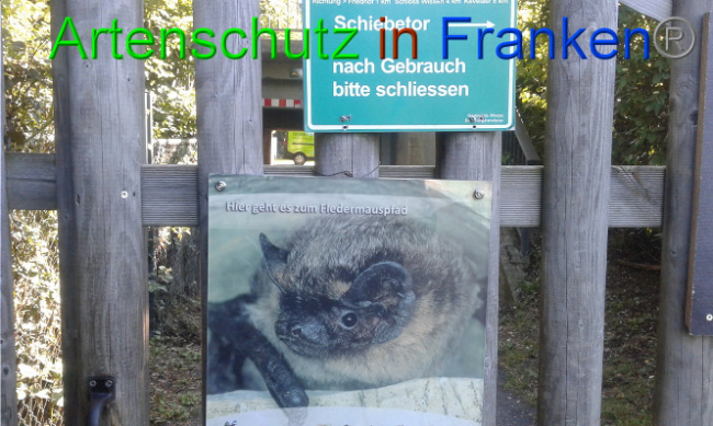 Bild zum Eintrag (1007458-160)