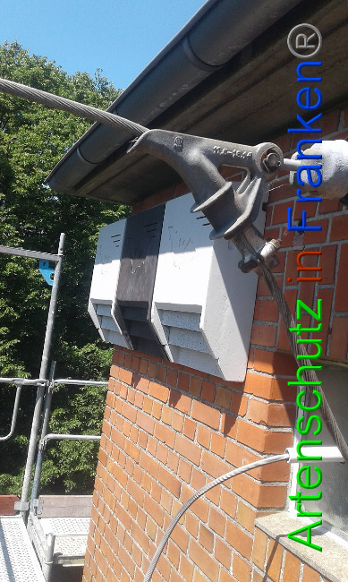 © Artenschutz in Franken® Bild zum Eintrag (1007478-160)