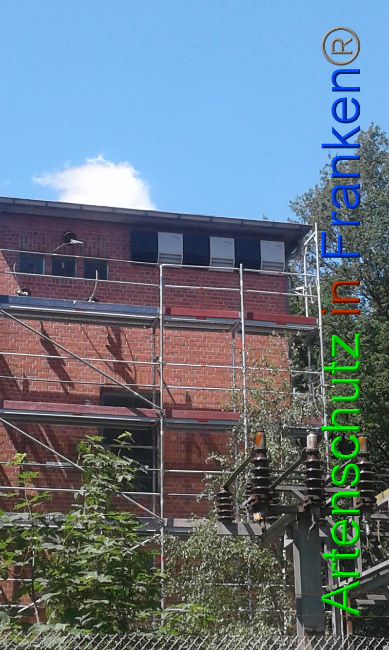 © Artenschutz in Franken® Bild zum Eintrag (1007485-160)