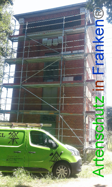 © Artenschutz in Franken® Bild zum Eintrag (1007486-160)