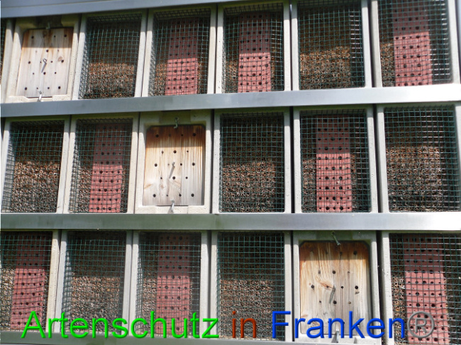 © Artenschutz in Franken® Bild zum Eintrag (1007517-160)
