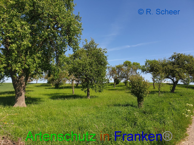 Bild zum Eintrag (1007613-160)
