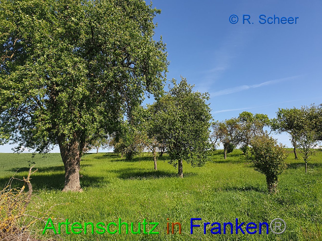 Bild zum Eintrag (1007614-160)