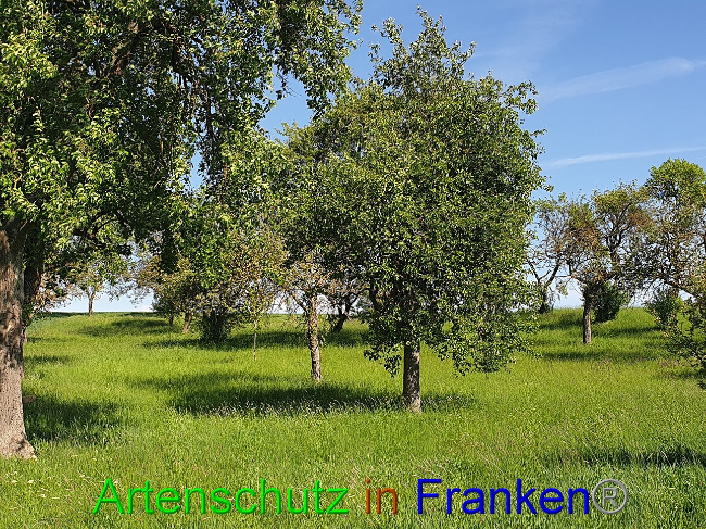 Bild zum Eintrag (1007622-160)