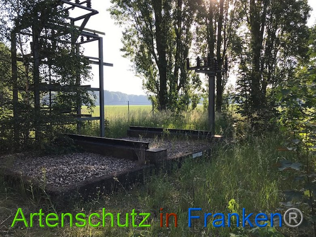 Bild zum Eintrag (1007654-160)