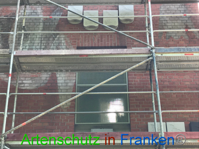 © Artenschutz in Franken® Bild zum Eintrag (1007734-160)