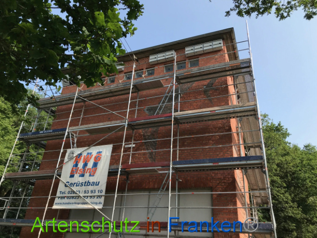 © Artenschutz in Franken® Bild zum Eintrag (1007736-160)