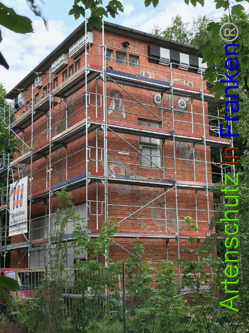 © Artenschutz in Franken® Bild zum Eintrag (1007763-160)