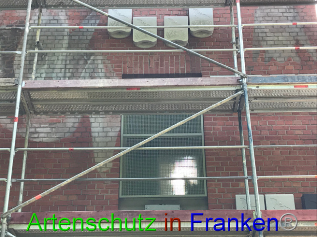 © Artenschutz in Franken® Bild zum Eintrag (1007765-160)