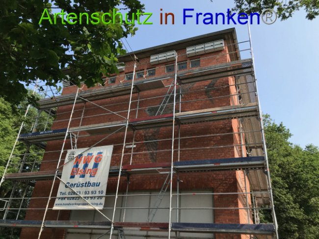 © Artenschutz in Franken® Bild zum Eintrag (1007767-160)