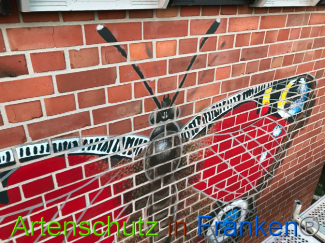 © Artenschutz in Franken® Bild zum Eintrag (1007823-160)