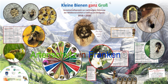 © Artenschutz in Franken® Bild zum Eintrag (1007860-160)