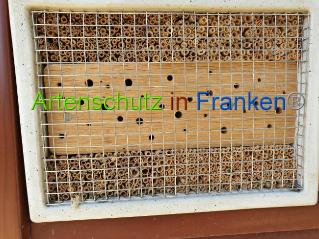 © Artenschutz in Franken® Bild zum Eintrag (1007915-160)