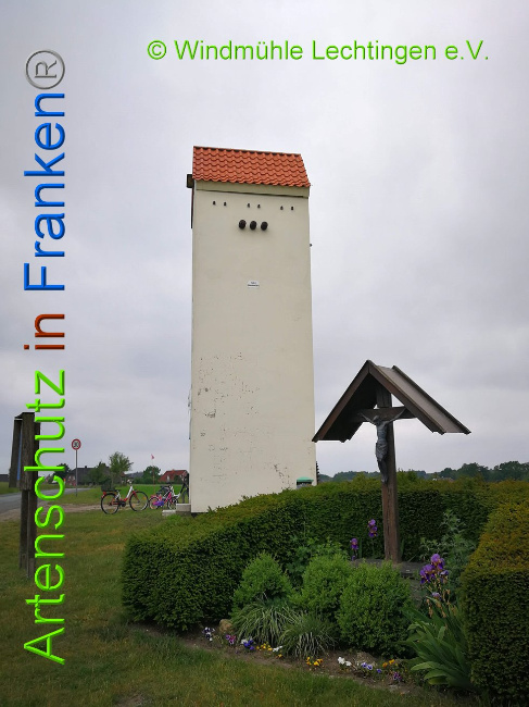 © Artenschutz in Franken® Bild zum Eintrag (1007947-160)